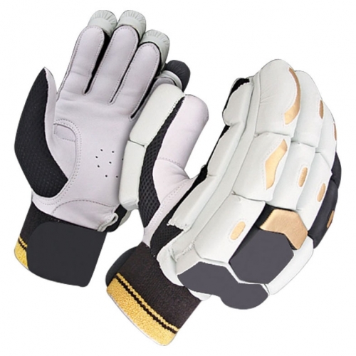 Cricket Gloves