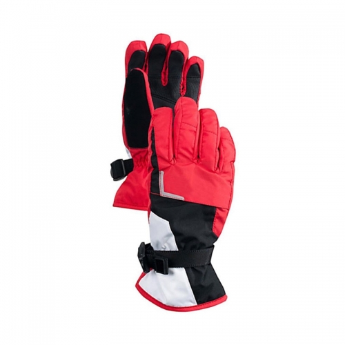 Ski Gloves