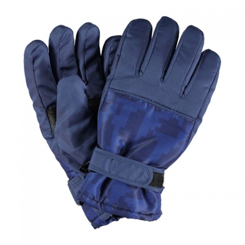 Ski Gloves