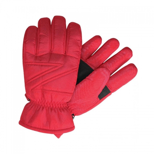 Ski Gloves