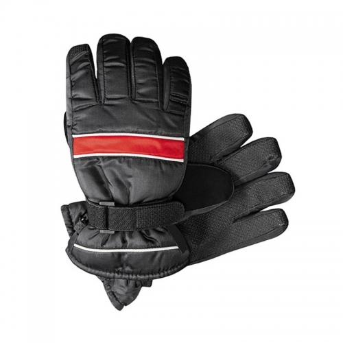 Ski Gloves